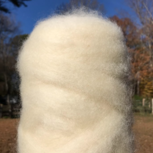 “Claire” Roving