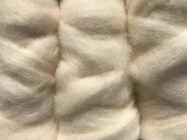 “Claire” Roving - Image 2