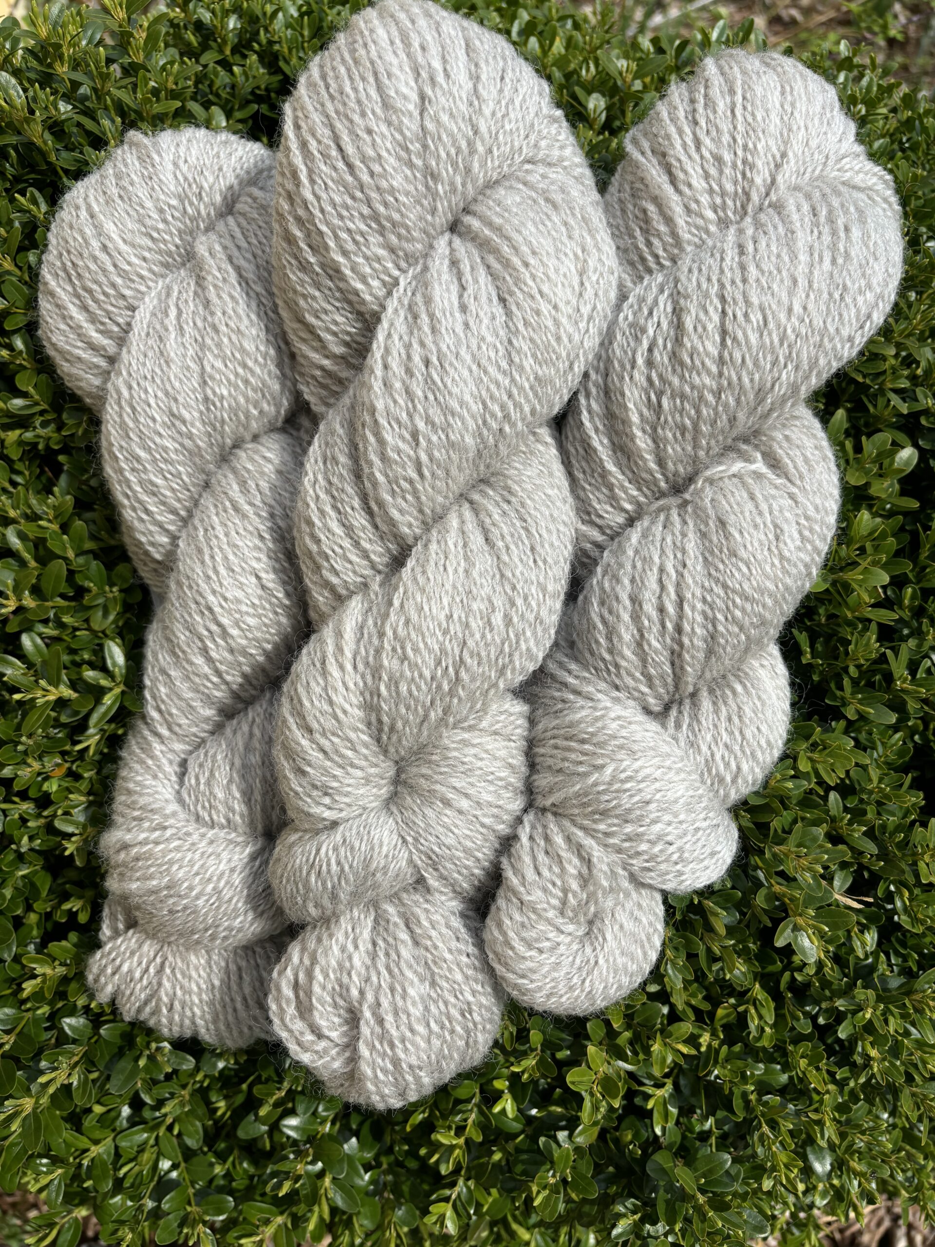 Phoebe sport weight yarn